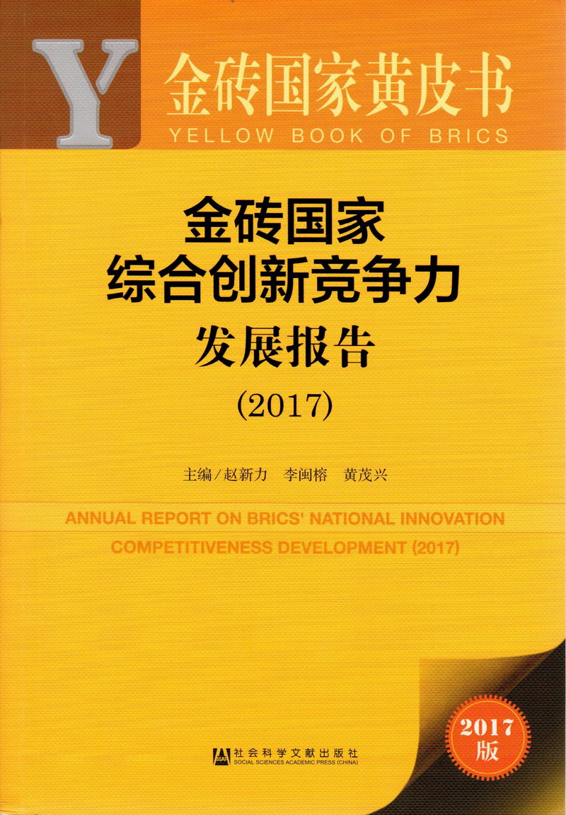 阴茎插入韩国女人逼中抽插在线视频金砖国家综合创新竞争力发展报告（2017）